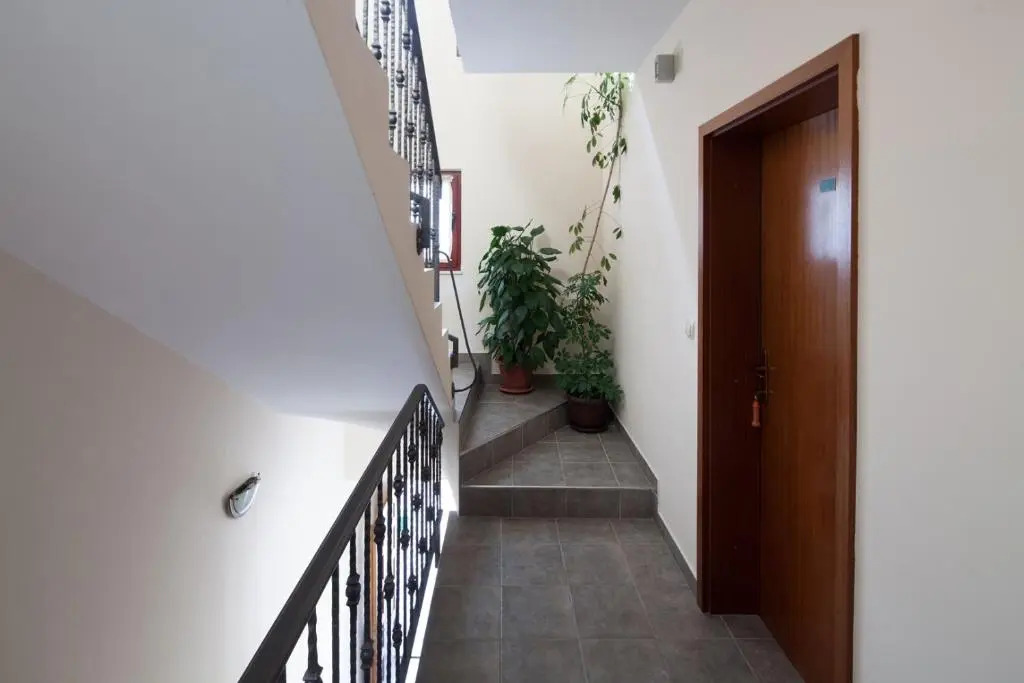 Apartment Toni