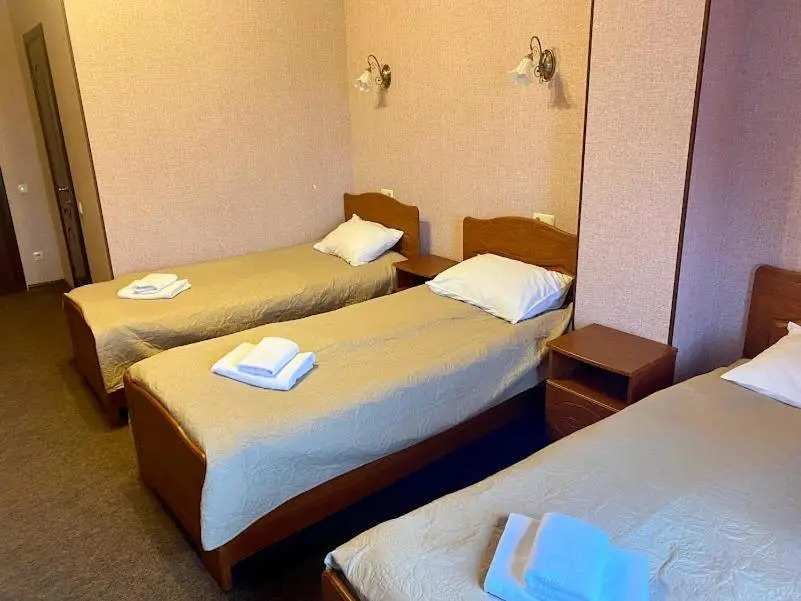 Golden Lion Hotel