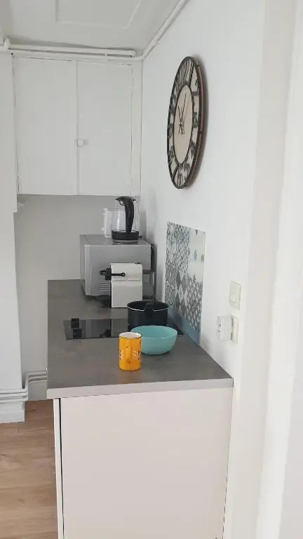 Bel appartement F2 centre ville