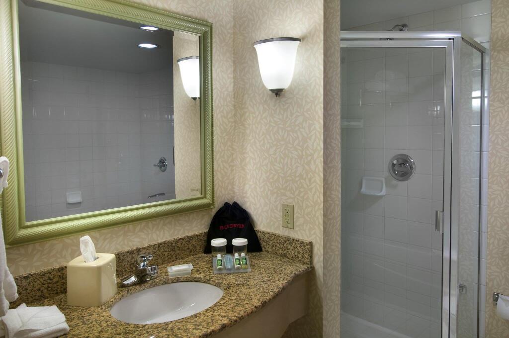Hilton Garden Inn Detroit Downtown