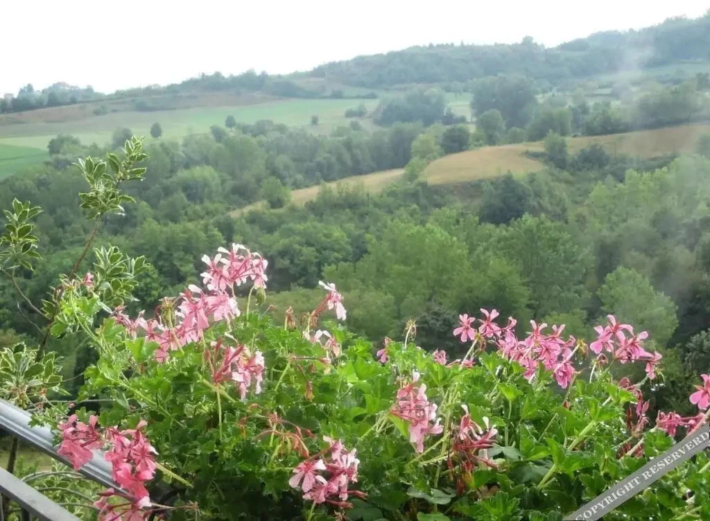 Il Gelso d la Costa