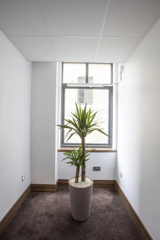 StayOCity Suites