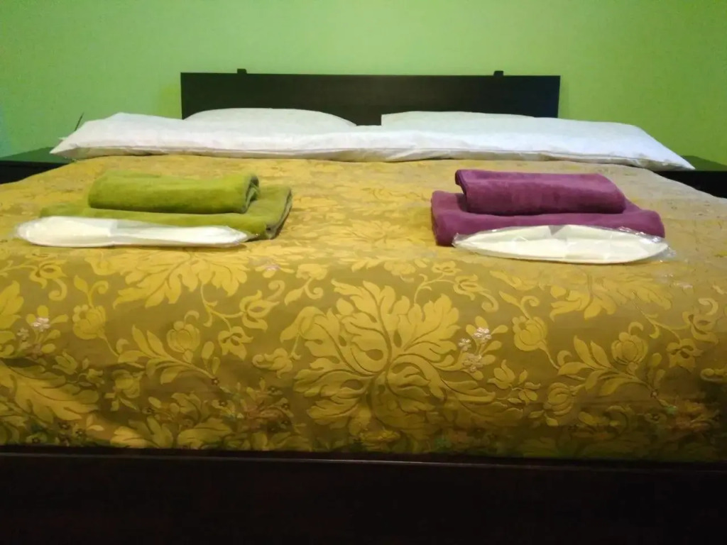 Art Galery Hostel