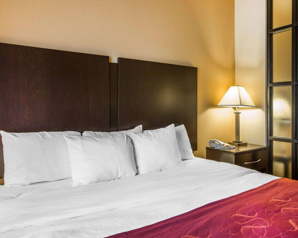 Comfort Suites Macon Northwest