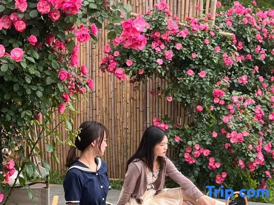 Moganshan - Designer Hot Spring Resort Homestay