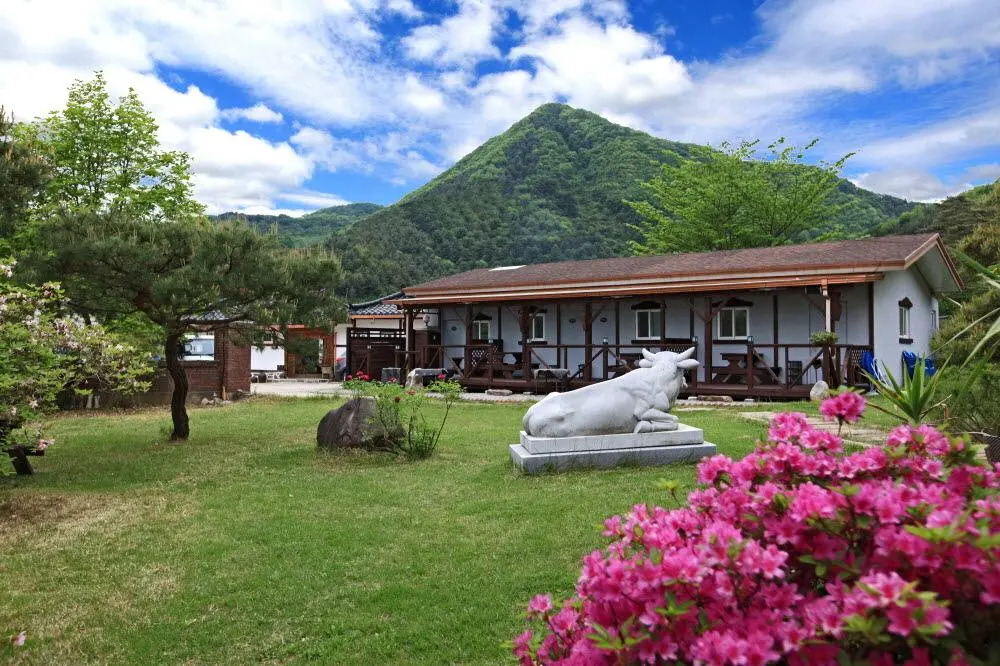 Apple farm stay