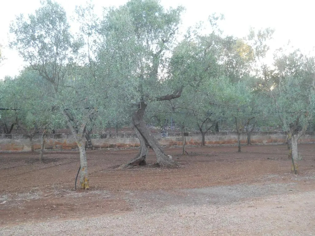 Villa Conte in Salento