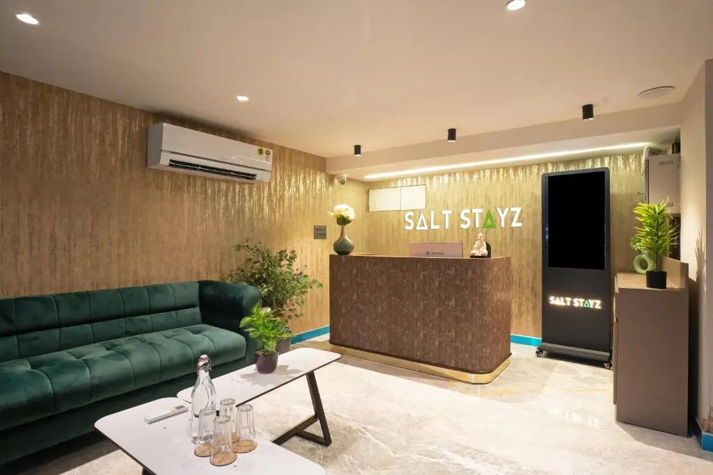 Saltstayz Premier - Naraina, Central Delhi
