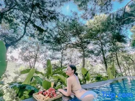 DeBay Retreat - Little Đà Lạt Chill Villa
