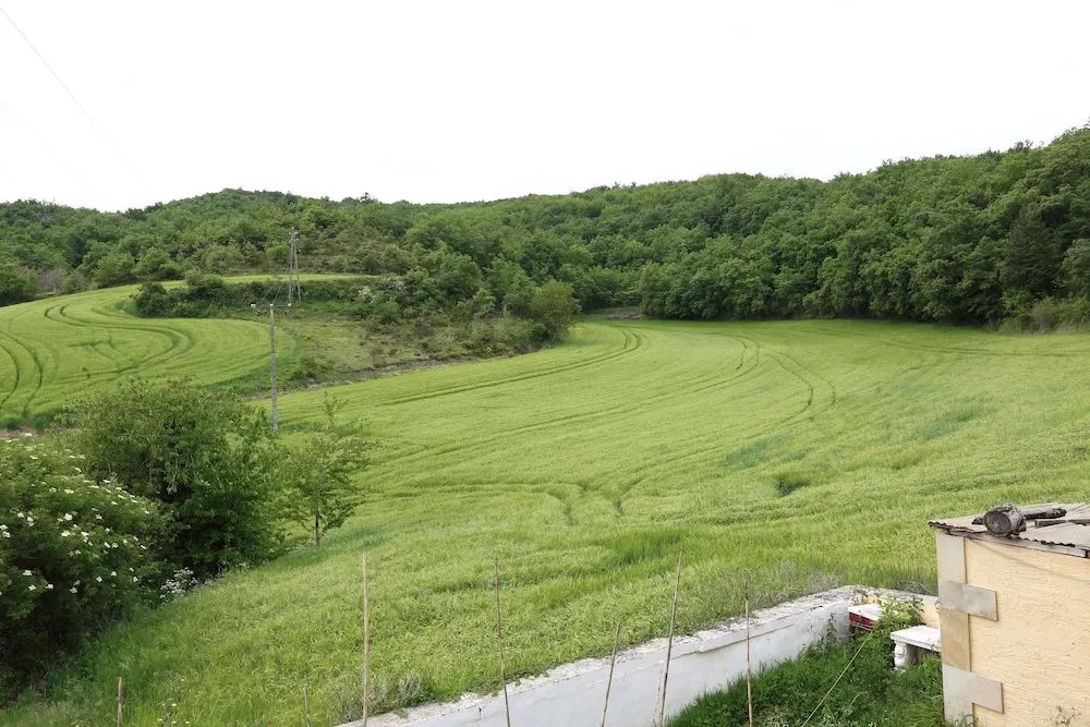 Casa rural ignaciano Landetxea