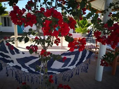 Hotel Frente al Mar