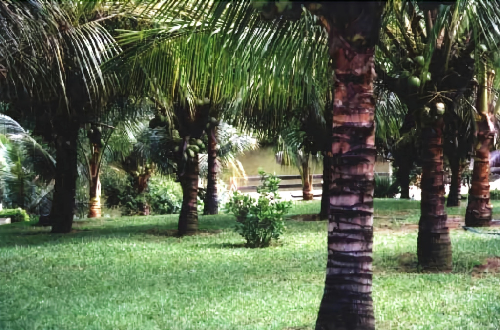Pousada Lagoa da Mata