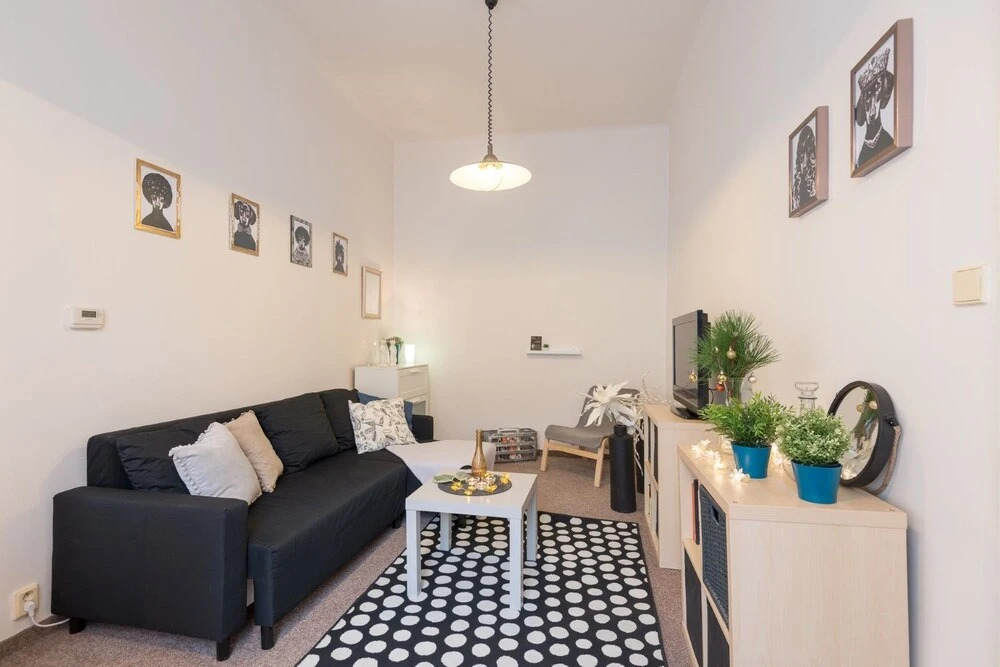 Prague Center Apartment near Old Town