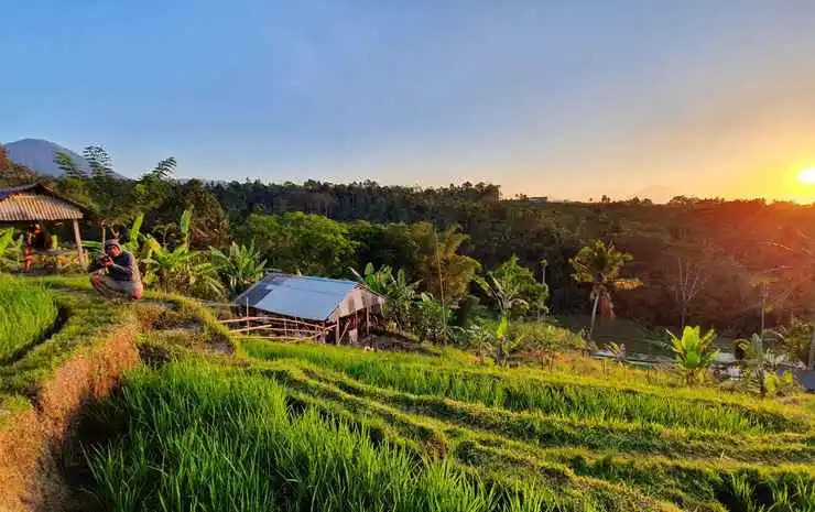 Hara Bali Eco Homestay