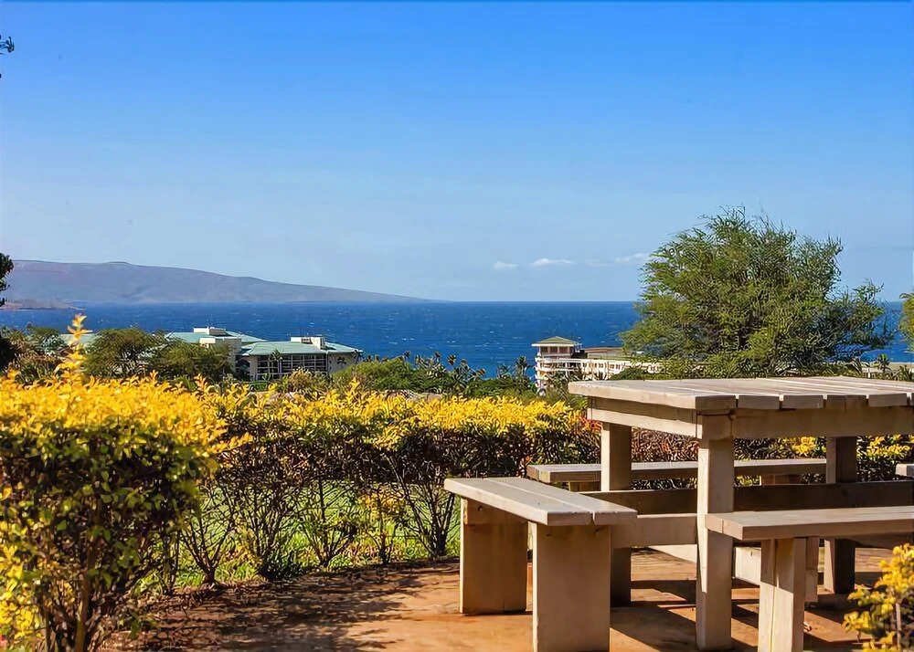 Wailea Ekolu 1106 - Two Bedroom Condo with Ocean View