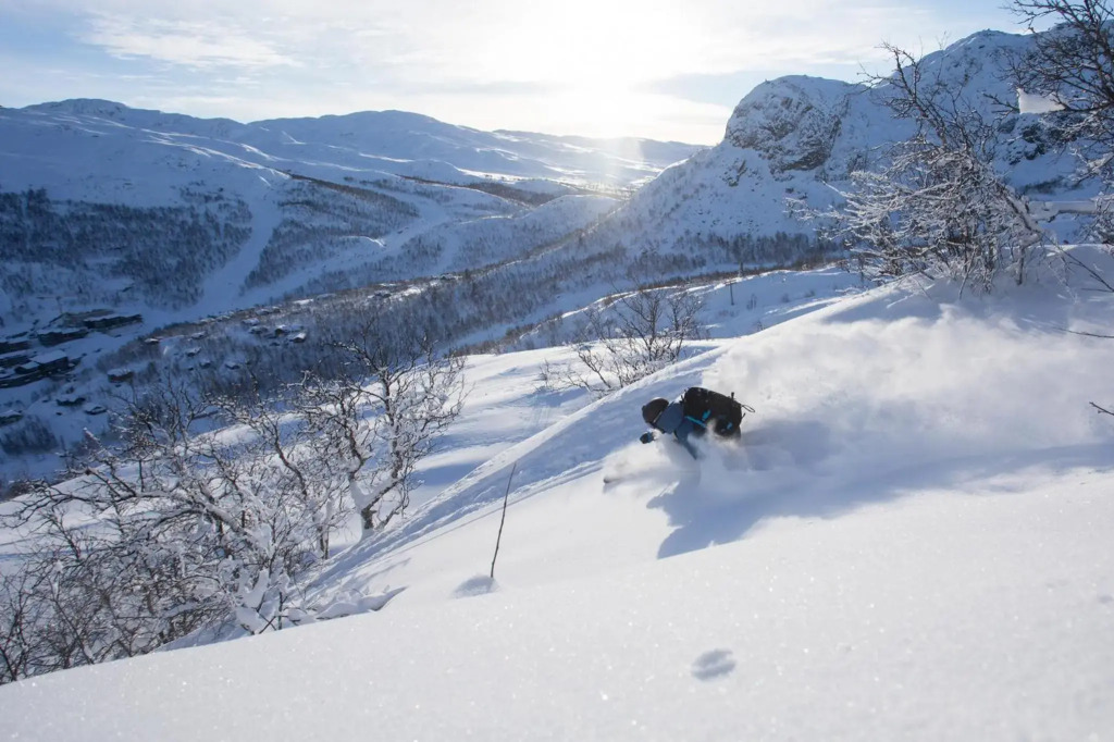 Skigaarden
