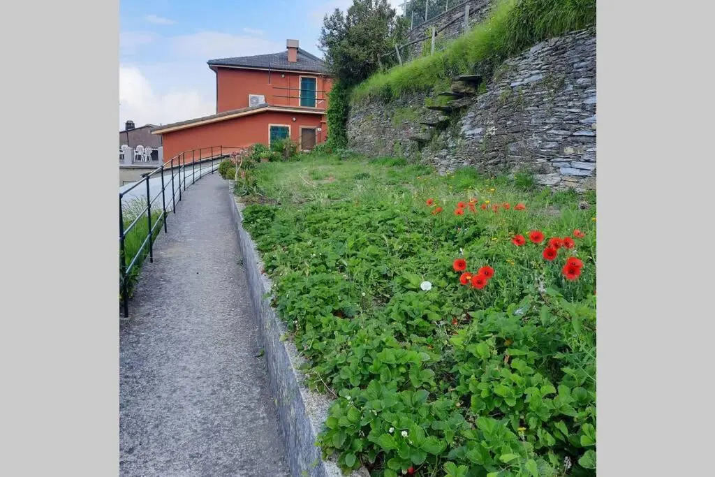 La Finestra Sul Golfo - Citra 010018-Lt-0033 -