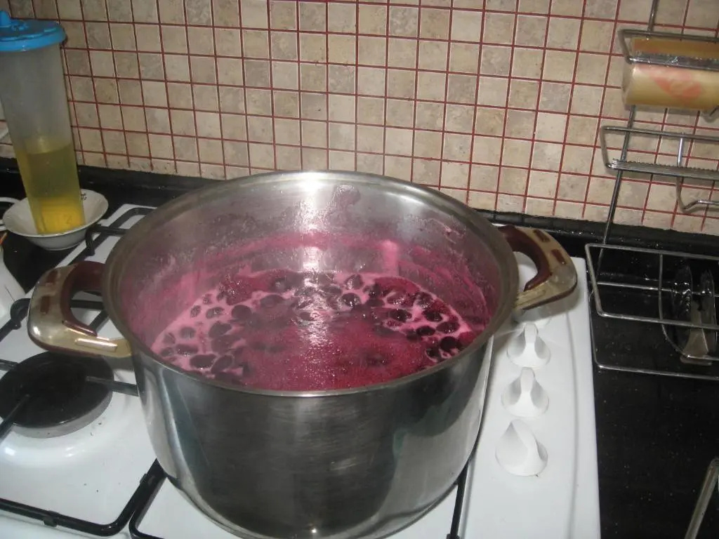 Ekolojik Güney Köy Pembe Köşk