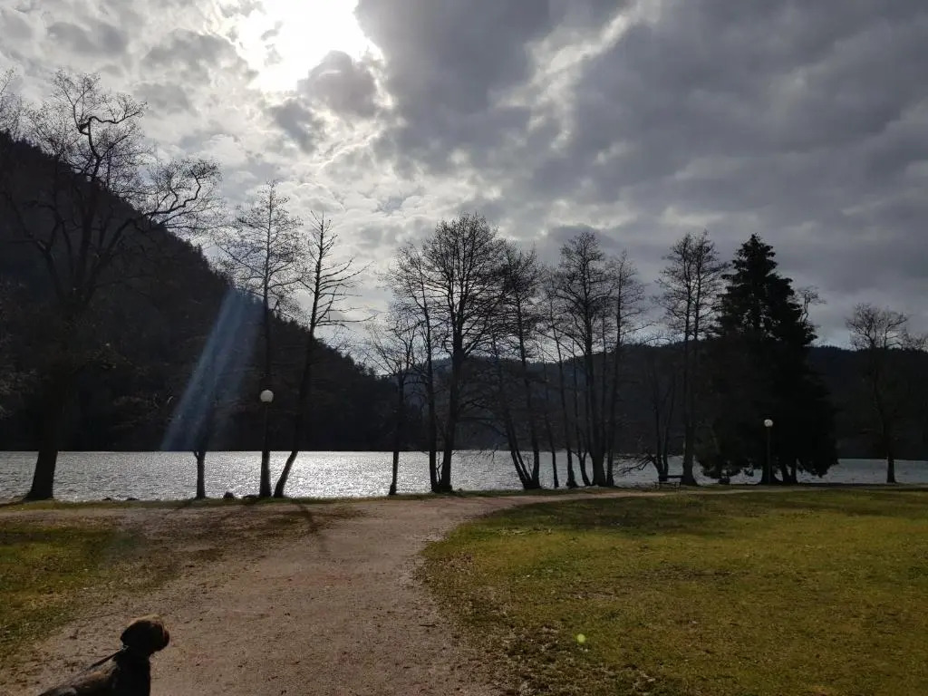 A 2 pas du lac