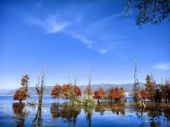 Shi Xi Haven