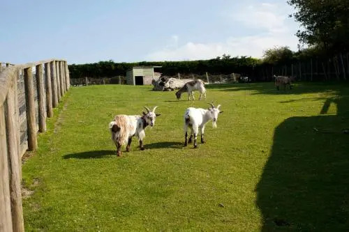 Wooda Farm Holidays