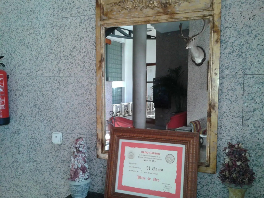 Hotel El Gamo