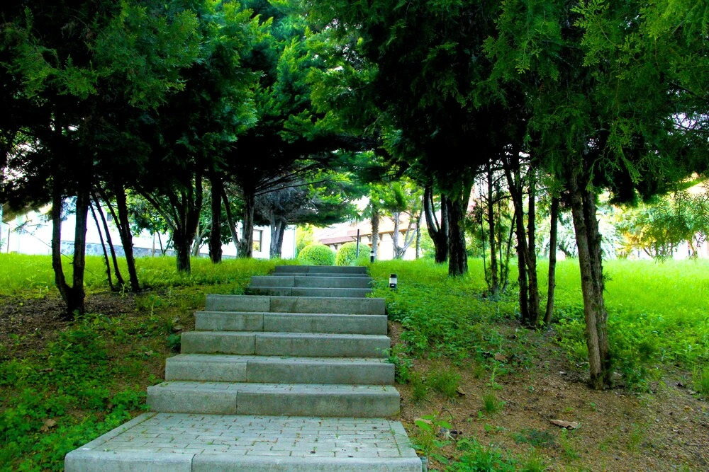 Sheki Olimpiya Hotel & Resort