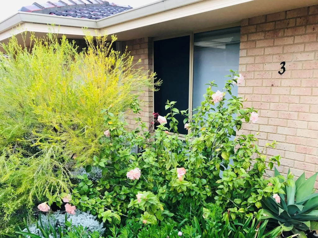 API Busselton Seaside Escape Apartments