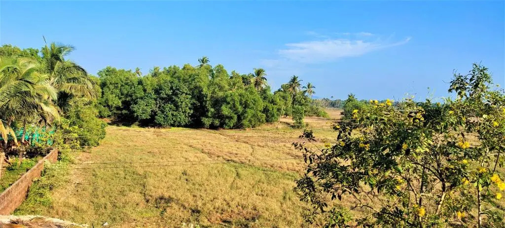 Holiday Destiny Home Stay