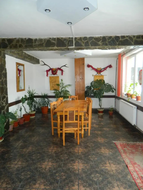 Pensiunea Buzdugan