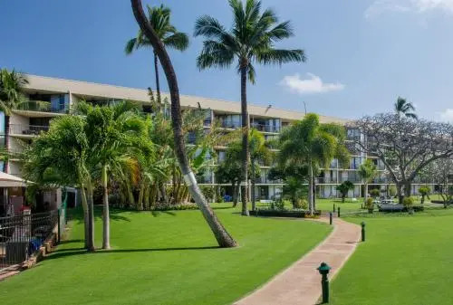Aloha Mai2