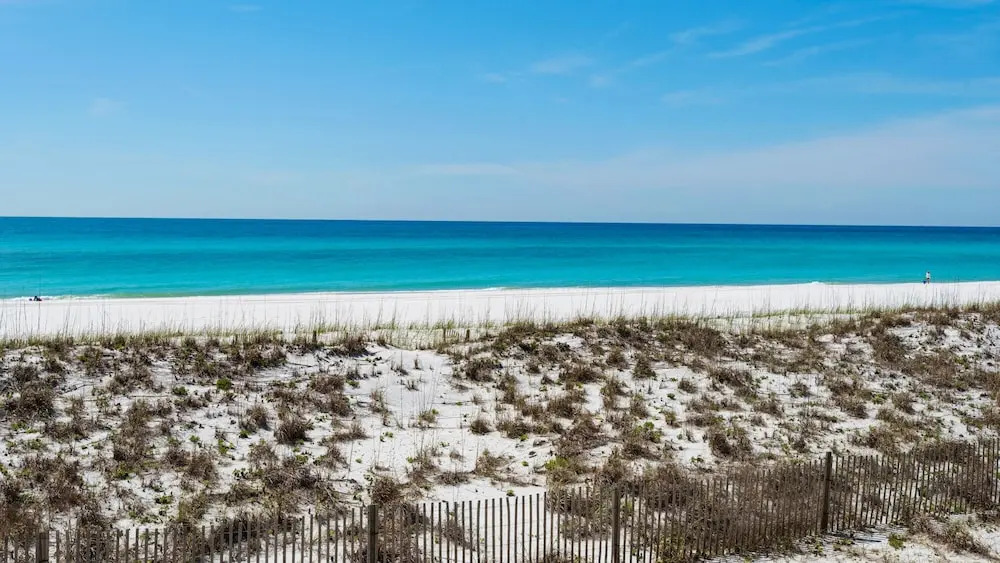 White Sands 427
