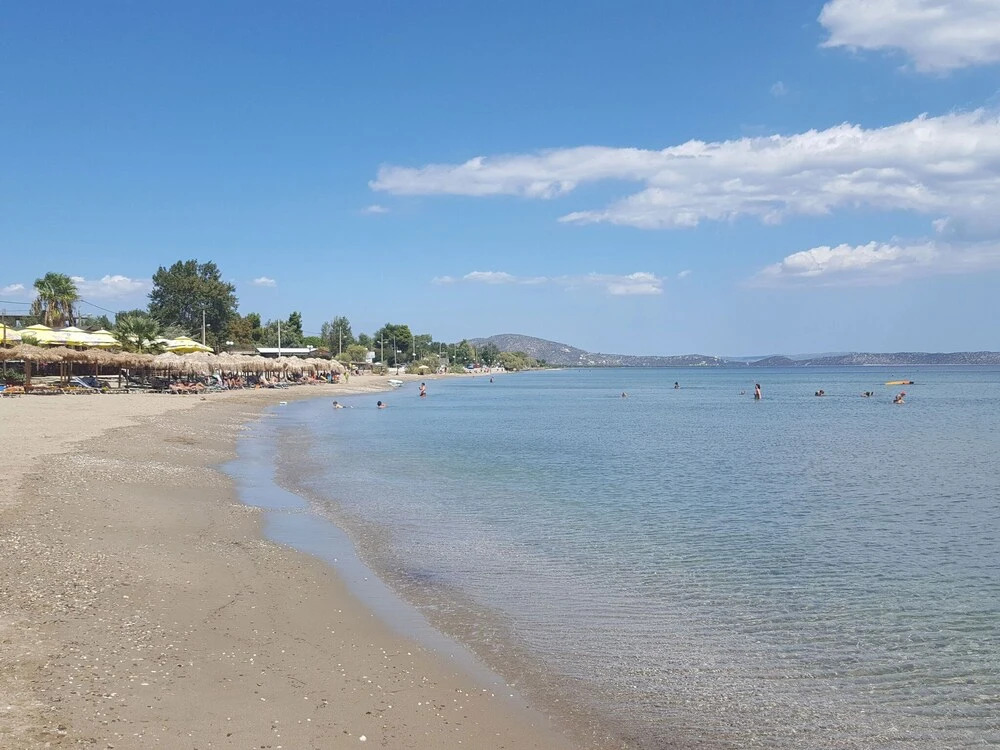 Home With Small Pool 37 Km From Athens Easily Accessible By Public Transport