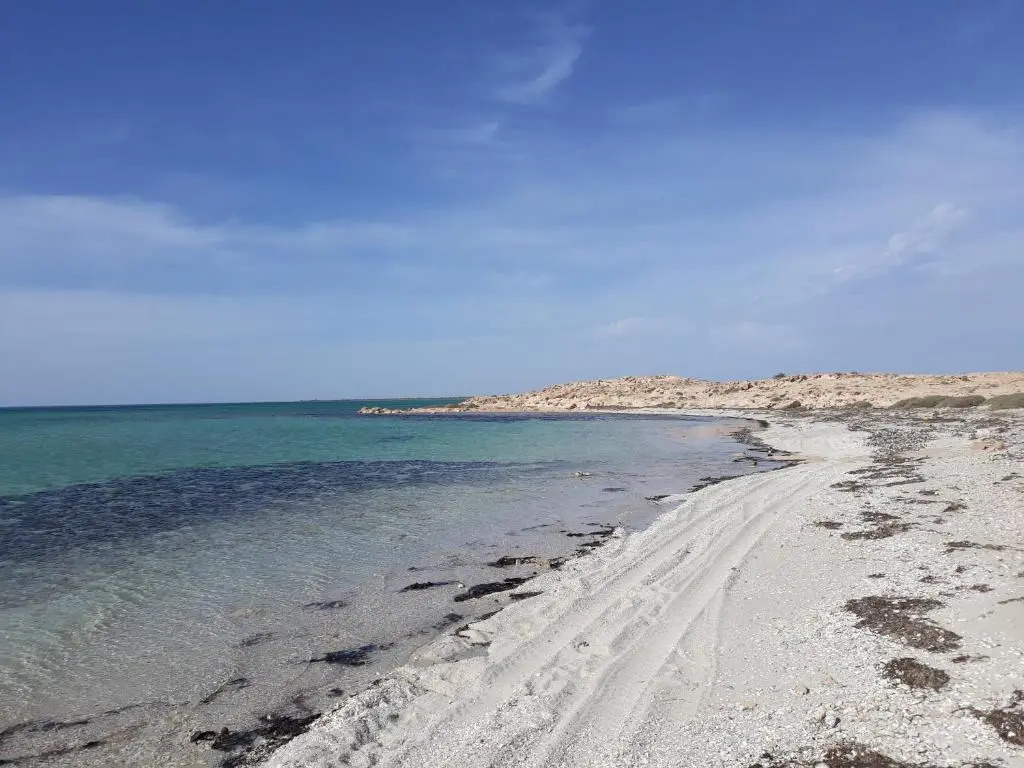Dar Chick Yahia Ile De Djerba