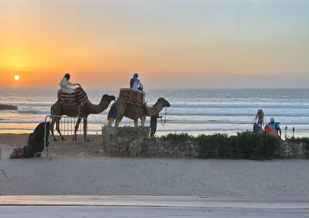 Dar Sanae Surf