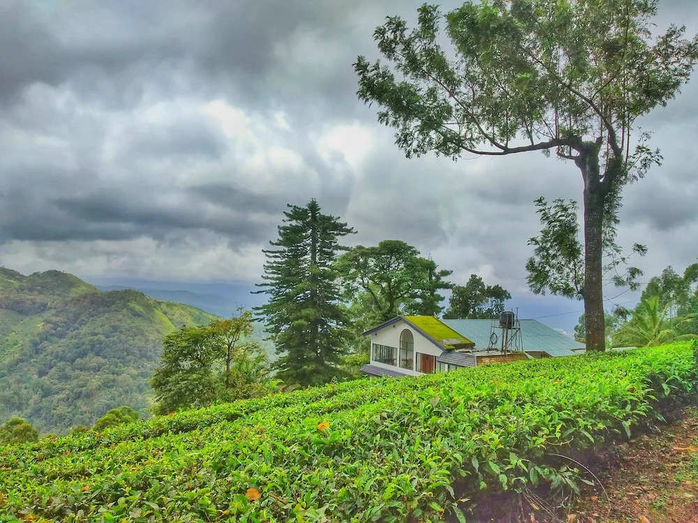 Mount Valley Resort - A Secluded Getaway