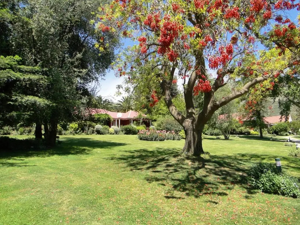 Hotel y Cabañas Palomar Caja los Andes