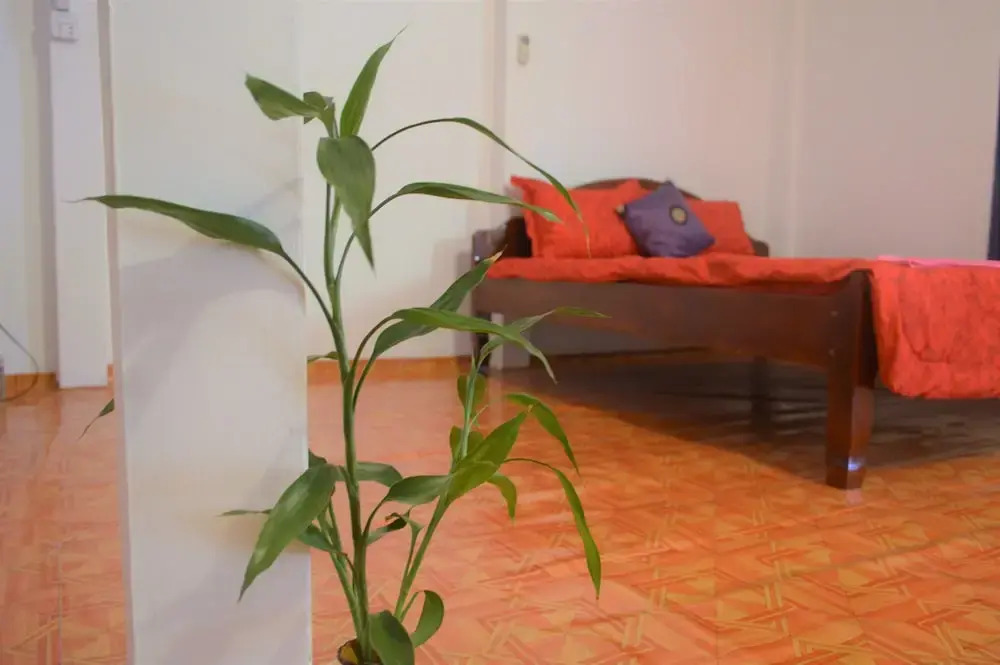 Sok Phen Homestay