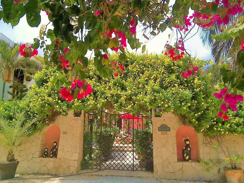 Casa Gatos Suites