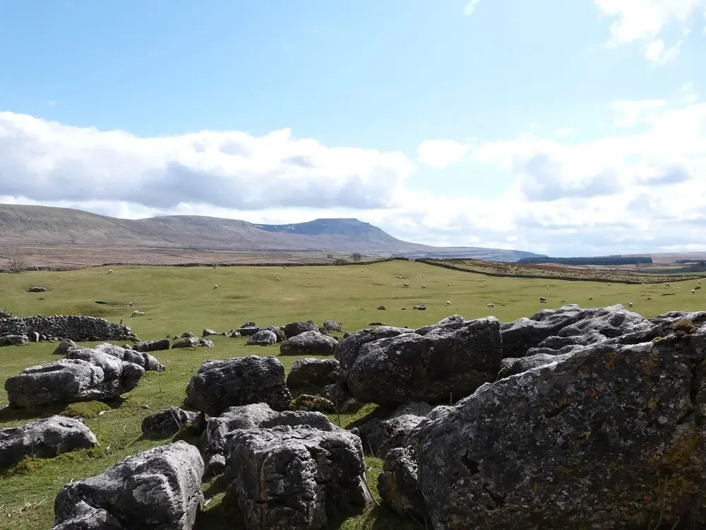Coars Farm