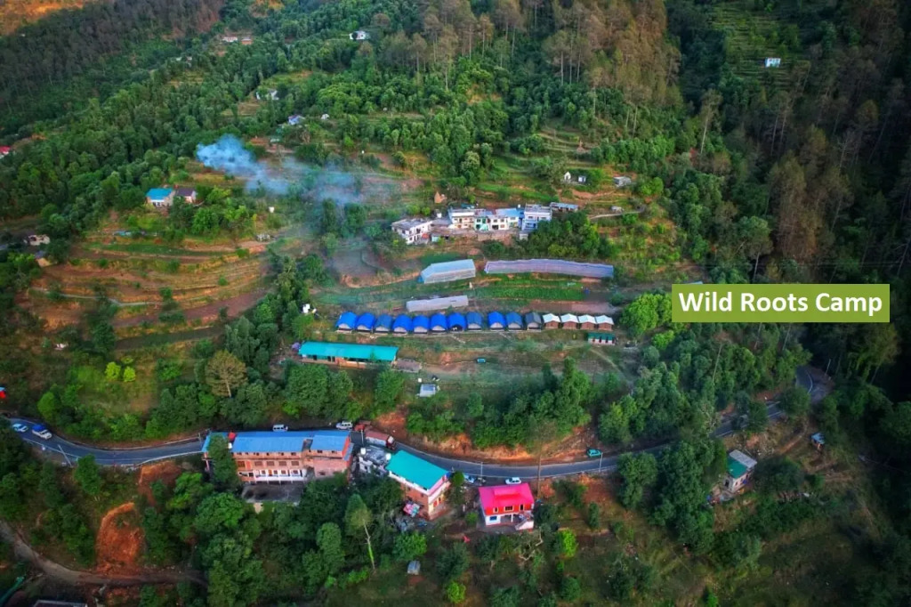 Wild Roots Camps And Resorts