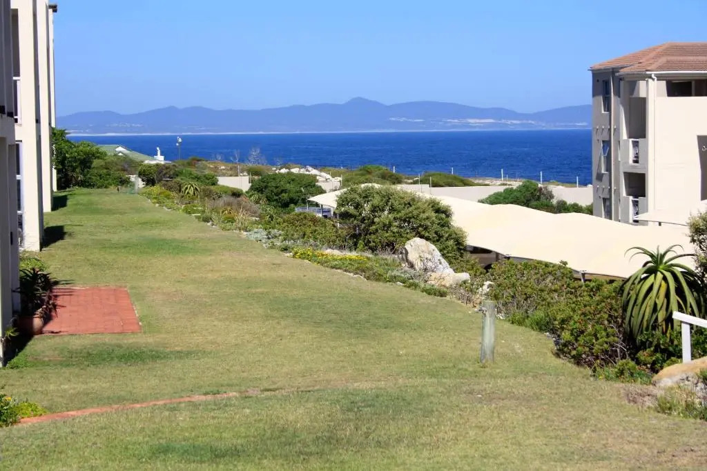 142 hermanus beach club