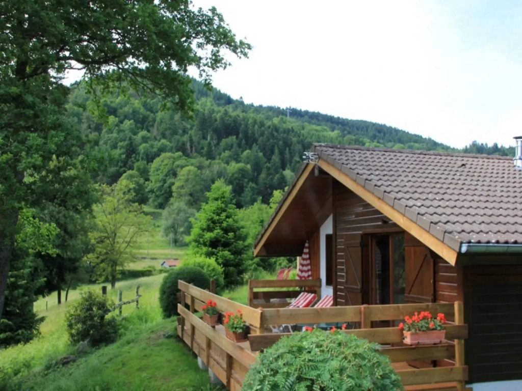 Nice Chalet With Dishwasher, in the High Vosges