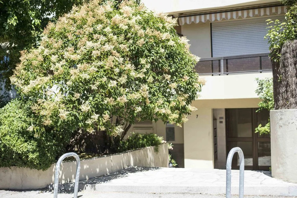 Appartement Palmeraie