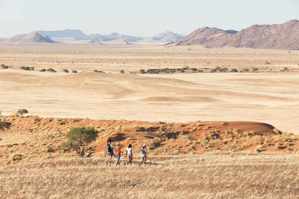 The Desert Grace