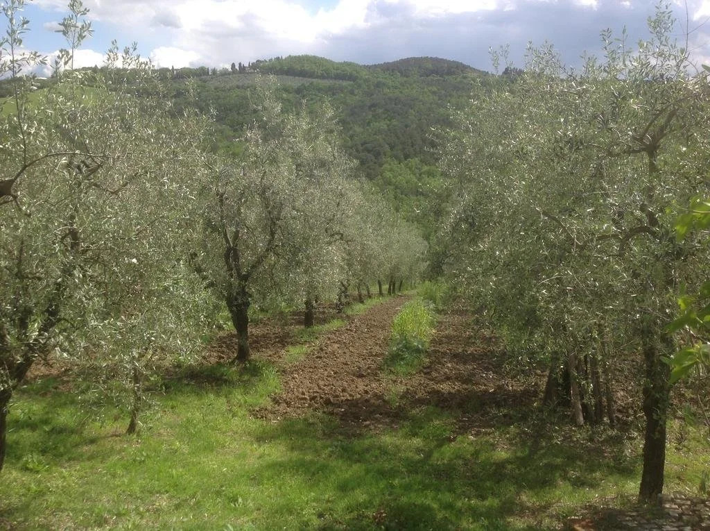 Podere Casanova