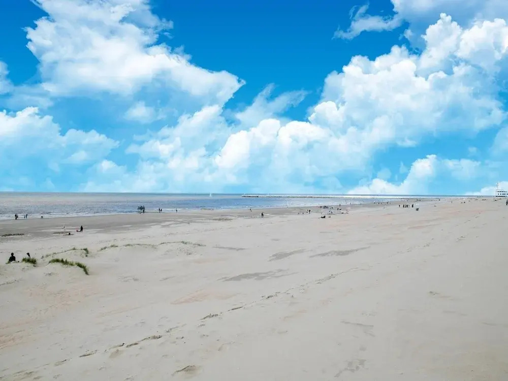 Studio in Belgium Near Beach & Dunes