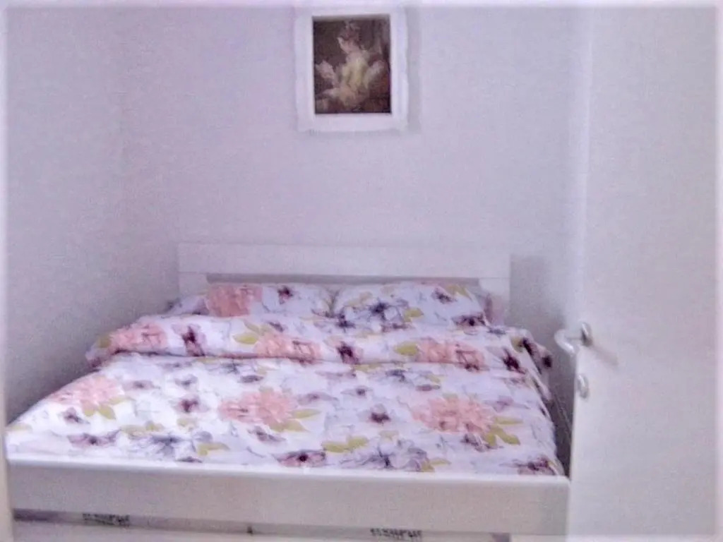 3 bedrooms appartement with furnished garden and wifi at Rakovica