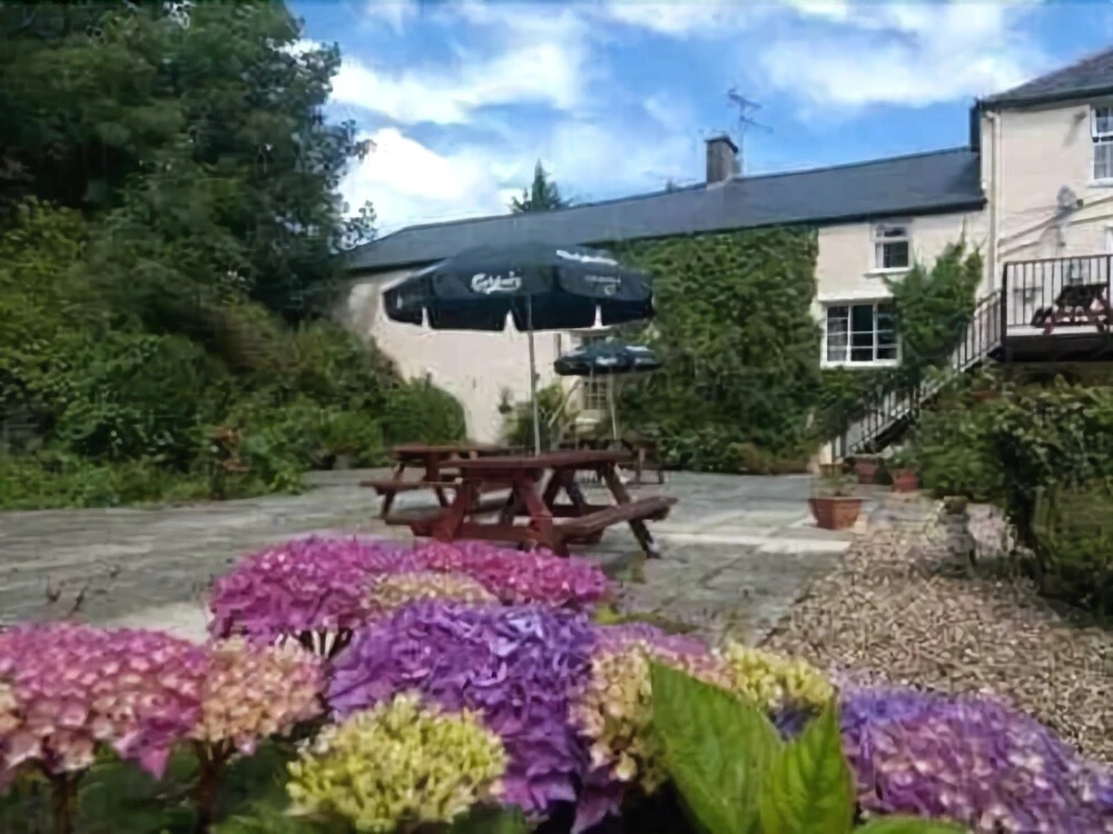 Holland arms hotel
