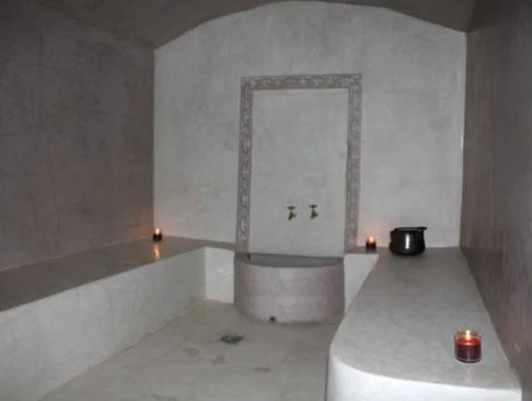 Riad Janoub